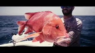 Cruise Craft Boats - Bats Fishing F360M - The Captain Mag