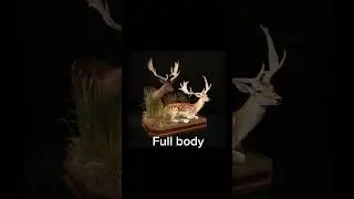 Which way would you mount your fallow deer#fyp#10ksubs#hunting#fallowdeer#deermounts