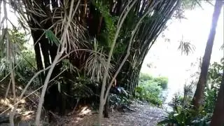 Ark Herb Farm Botanical Gardens