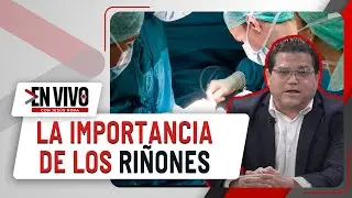 La Vital Funci&oacute;n Renal
