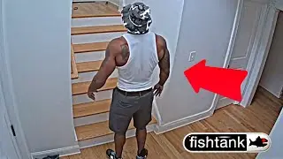 The Fishtank House Gets MOGGED