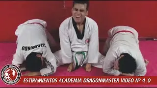 ESTIRAMIENTOS ACADEMIA DRAGONMASTER PARTE 4.0