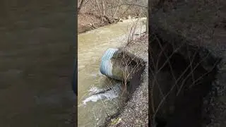 Little Grave Creek Glen Dale Culverts and Road washing out.