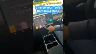 Change Your Tesla Horn