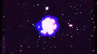 Polysick - Taito