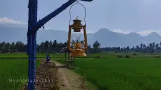 KOLLANKODE കൊല്ലൻ കോടിൻ്റെ ഗ്രാമ സൗന്ദര്യം (പാലക്കാട്)