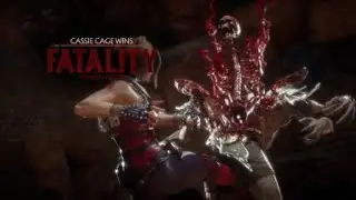 Cassie Cage flawless victory|MK11
