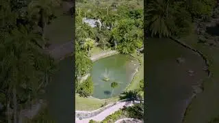 Pinecrest Gardens | A Miami Gem