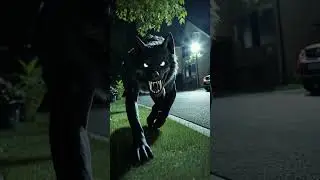 🔵 Terrifying Wolf with Glowing Blue Eyes Runs in the Dark! 🌙🐺