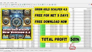 Orion Gold Scalper 4.5 FREE for 5 Days | $501 Live Profit Proof!