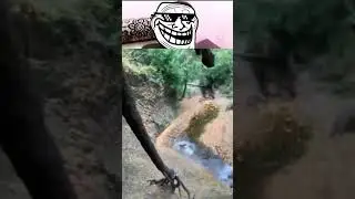 Funny FAILS compilation #shortfeed #shorts #viral #trending #foryou #viralvideo #funny #funnyvideo