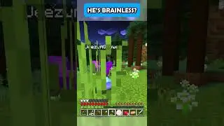 Wait he is BRAINLESS in Minecraft