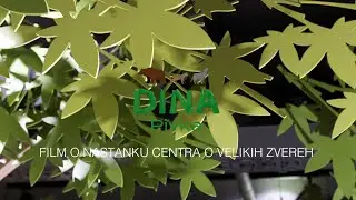 Film o nastajanju Centra o velikih zvereh Dina v Pivki