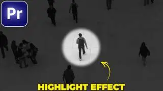 How to HIGHLIGHT OBJECTS in Premiere Pro