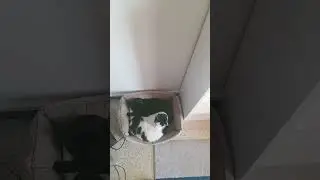 Toujours ici?