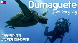 필리핀 두마게티 스쿠버다이빙#1 ㅣ 두바하다이브리조트 ㅣ 멀지만 가치있는 그 곳 두마게티 ㅣDiving vlog 해외편