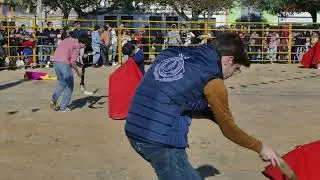 Carnaval Taurino na Moita 2025