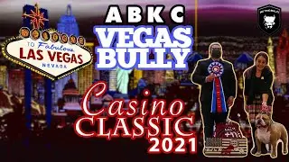 AMERICAN BULLY ABKC  VEGAS BULLY CASINO CLASSIC  | BIG TYME EVENTS.