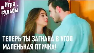 Лучшие сцены недели #5 | Игра судьбы