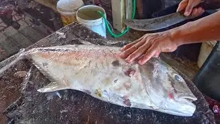 BIG TREVALLY FISH CLEANING & CUTTING SKILLS || EXPERT FISH CUTTER