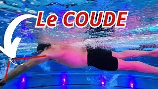 Construire des APPUIS EFFICACES pour un CRAWL + en GLISSE