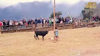 CORRIDA DE TORO YANAS HUARI ANCASH 2025