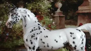 Peter Stone Ooak Arabian Stallion - Sabre Dance Arabian horse videos