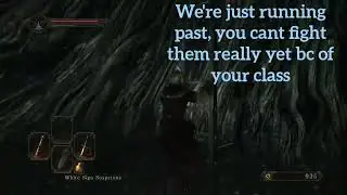 Getting started in DS2SotFS