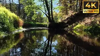 Прогулка по реке Нерская (ч. 2). Сборник красивой музыки Эдгара Туниянц.