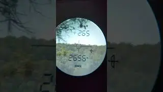 Дальномер AOFAR HX-1200T #шорты