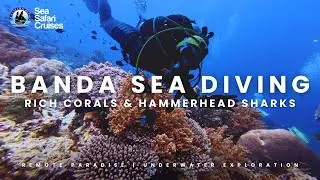 Explore Marine Indonesia | Spice Islands Banda Sea