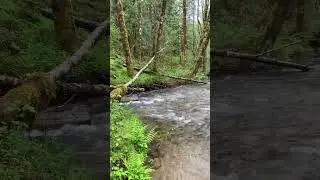 Pacific Northwest beauty