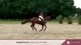 04 - Henri&euml;tta HX (Afellay x Vittorio)
