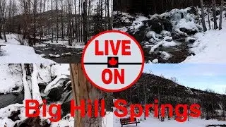A HIDDEN ALBERTA GEM: Winter Magic at Big Hill Springs #hiking