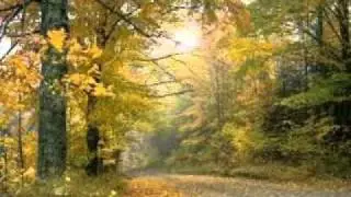 Daevid Allen - French Garden