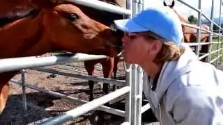 Newborn Horse struggles to stand up for the first time.