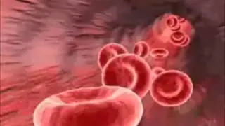 chronic effects of exercise on the heart