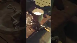 Best flea treatment the vets and bugmen don't want u to know. Easy and cheap way to get rid of fleas