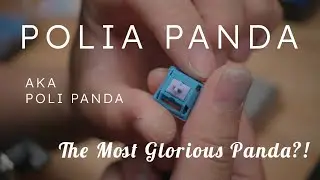 Poli Panda Tactile Switch Review
