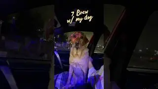7 Brew Date night with my dog 🥤🫧🐶#datenight #7brew #dogdatenight