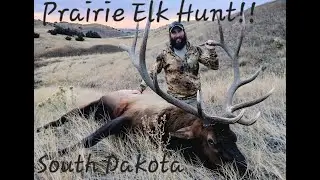 Hunt Recap  South Dakota Prairie Elk Hunt