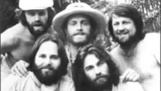 Funky Pretty - Beach Boys