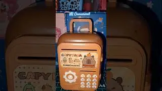 ᥴᥲ⍴ᥡᑲᥲrᥲ m᥆ᥒᥱᥡ ᑲ᥆᥊ ✨🩷 #capybara #moneybox #money