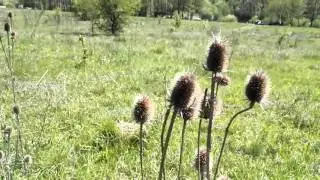 Vinnitsa Ukraine Landscape  Винница Пейзаж