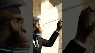 Monkey exploring Tajmahal guys.#shorts #shortvideo #trending #viral #monkey