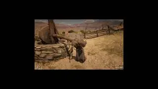 RDR2 THE DONKEY LADY #shorts