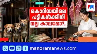 കൊറിയൻ തീൻമേശയിൽ നിന്ന് പട്ടിയിറച്ചി മാറുമ്പോൾ; പ്രായോഗികമോ തീരുമാനം? | Dog meat ban | South Korea