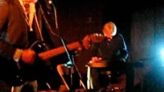 Fruit Bats- 
