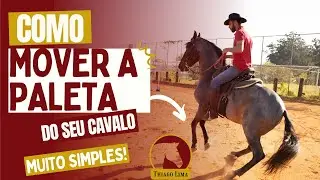 Como mover a paleta do seu cavalo?