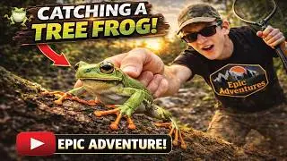 Epic Adventure's Tree frog office facts series
